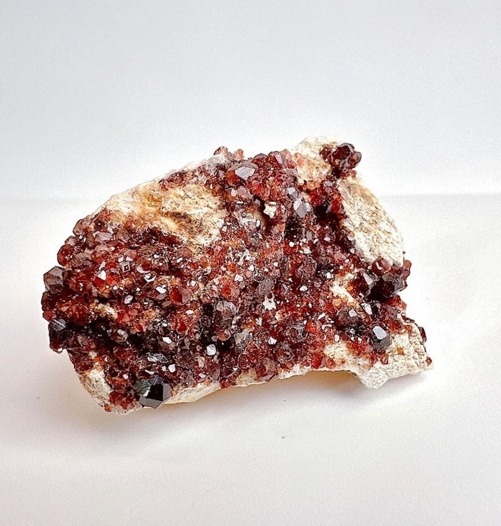 LINE_ALBUM_官網商品相簿八月第一周_230804_279