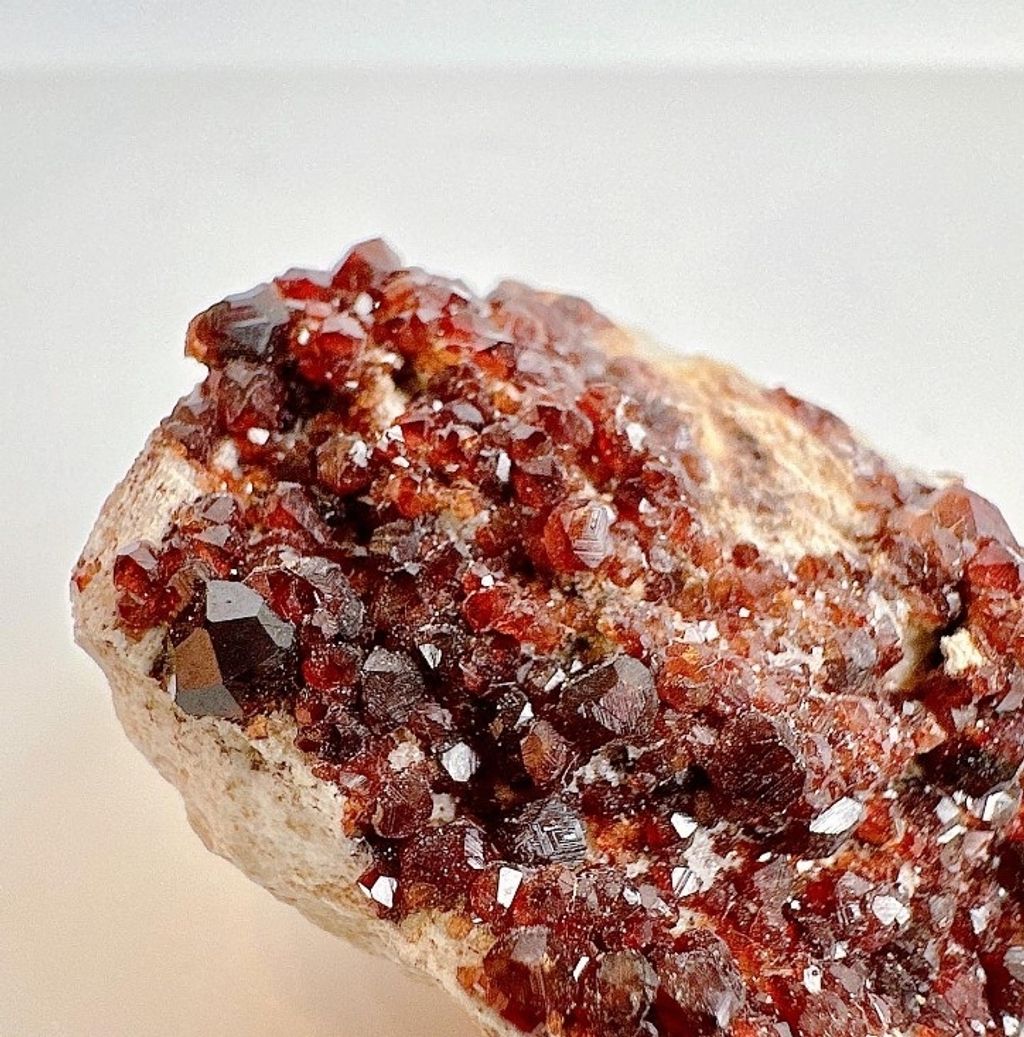 LINE_ALBUM_官網商品相簿八月第一周_230804_277