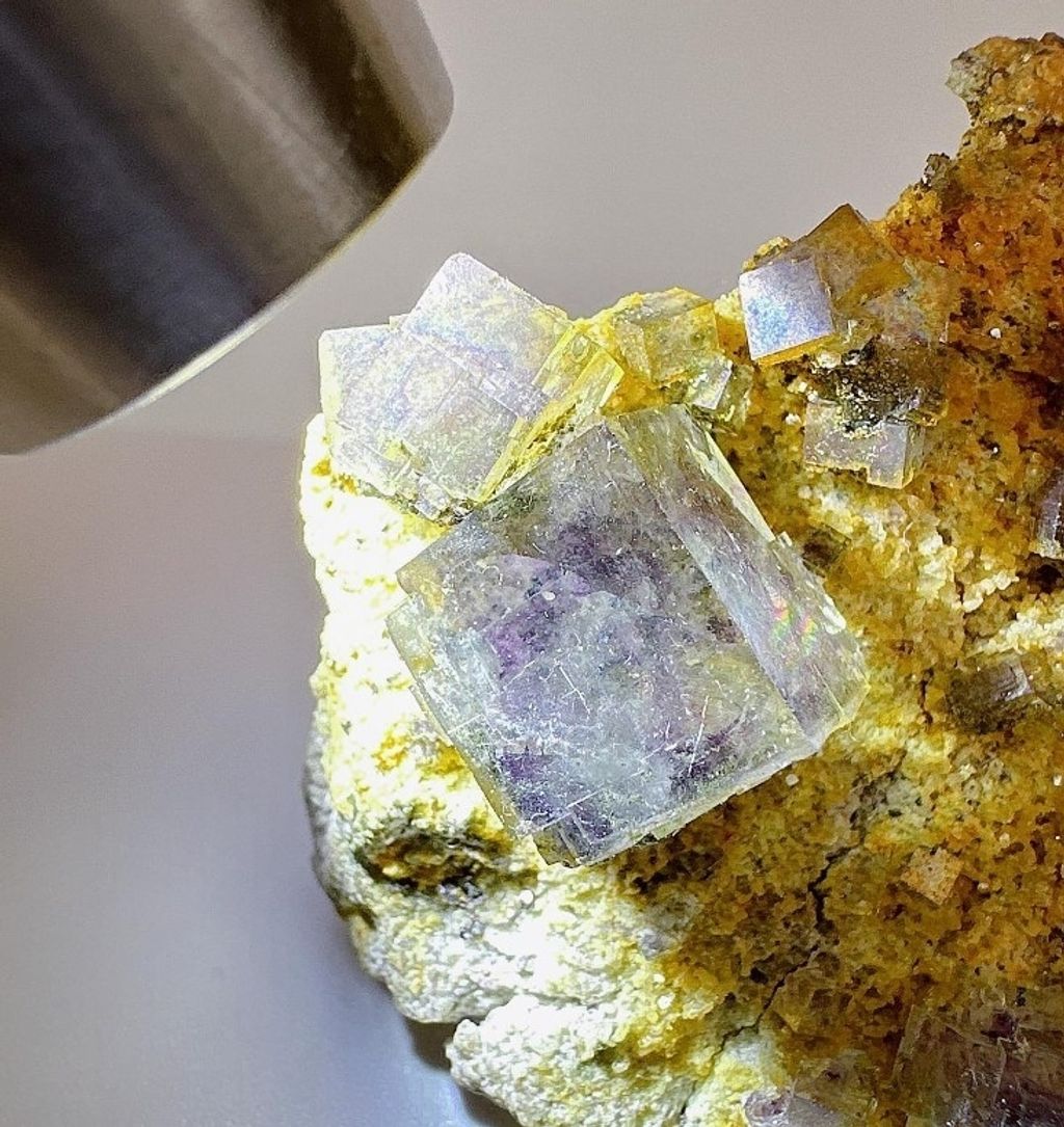 LINE_ALBUM_官網商品相簿八月第一周_230804_266