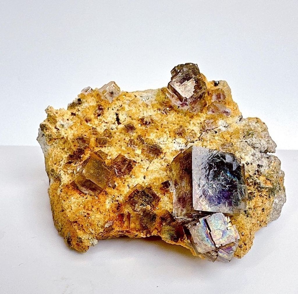 LINE_ALBUM_官網商品相簿八月第一周_230804_270