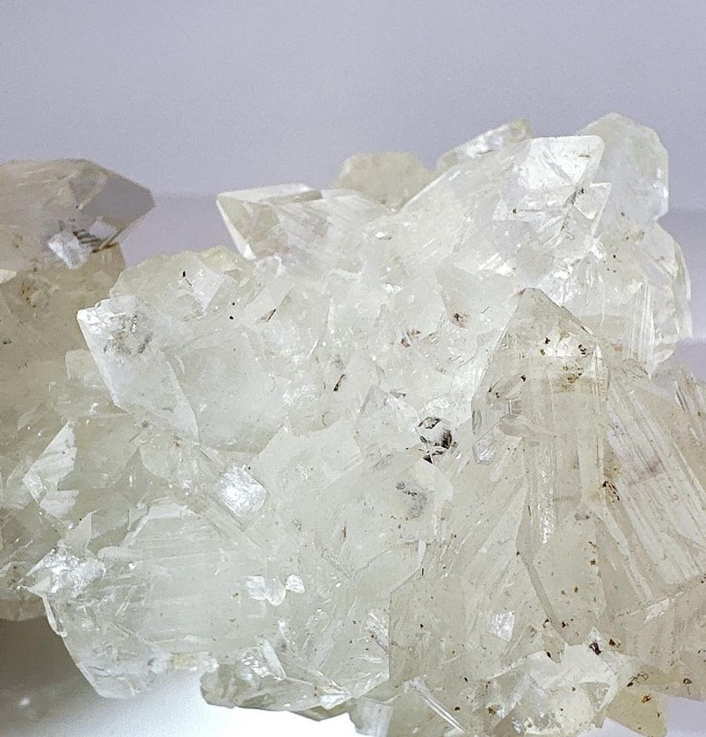 LINE_ALBUM_官網商品相簿八月第一周_230804_272