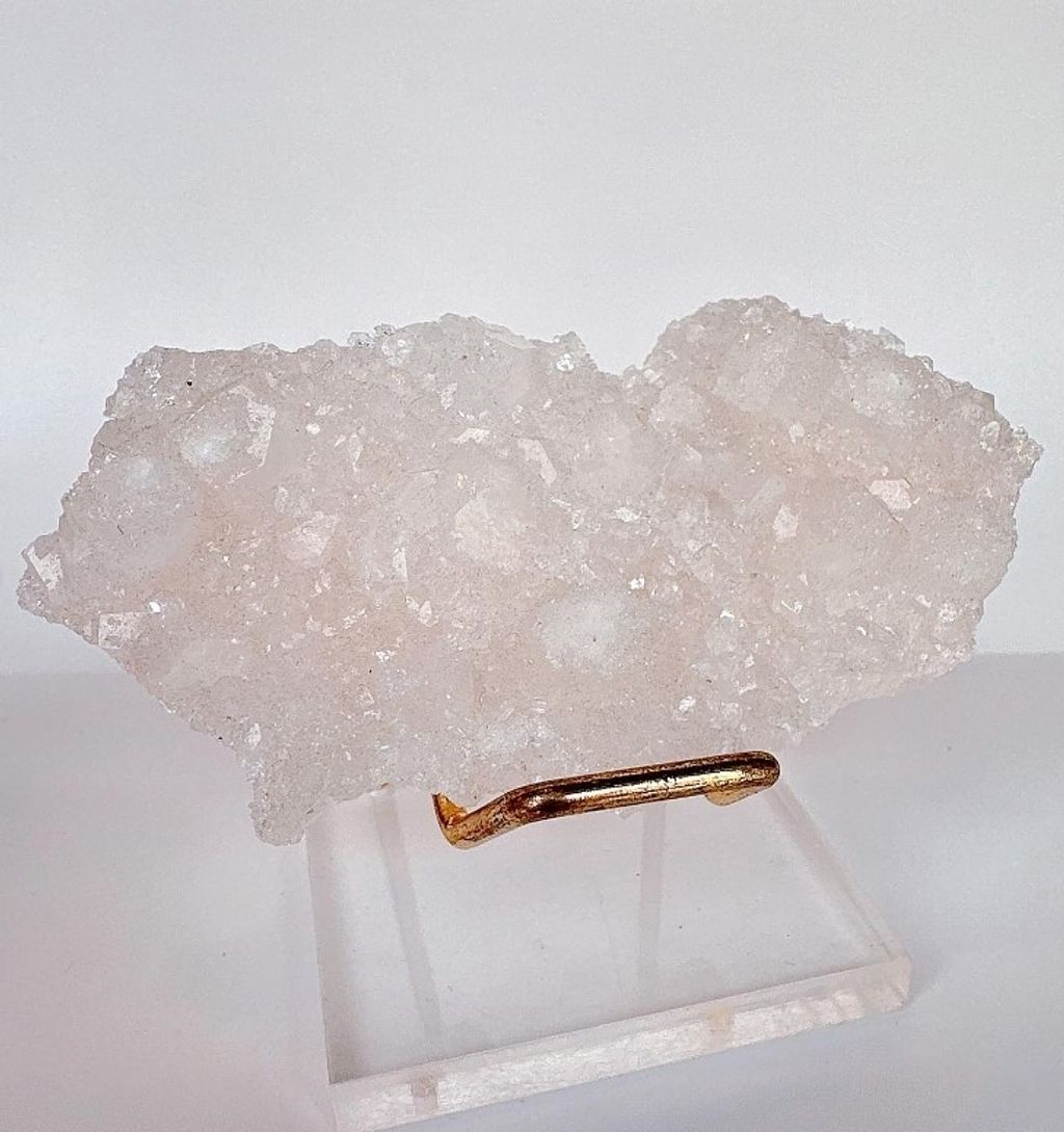 LINE_ALBUM_官網商品相簿八月第一周_230804_460