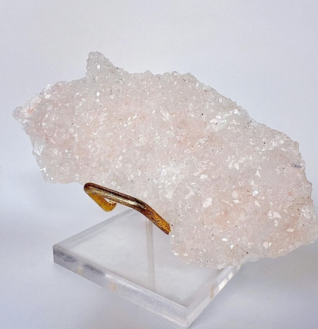 LINE_ALBUM_官網商品相簿八月第一周_230804_461