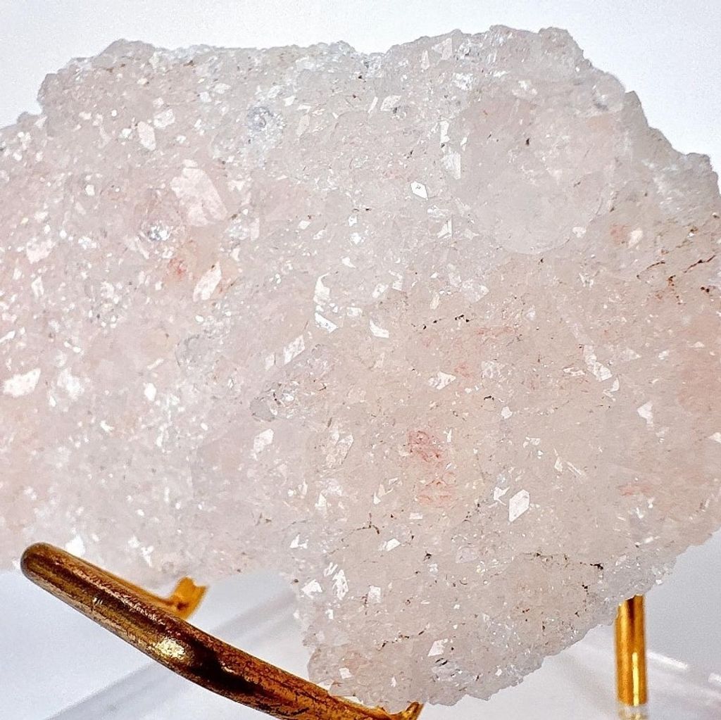 LINE_ALBUM_官網商品相簿八月第一周_230804_458