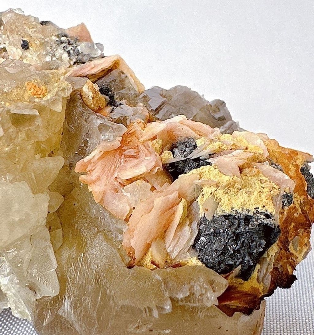 LINE_ALBUM_官網商品相簿八月第二周_230808_63