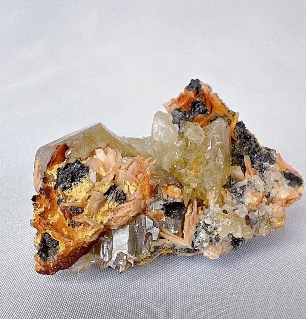 LINE_ALBUM_官網商品相簿八月第二周_230808_65