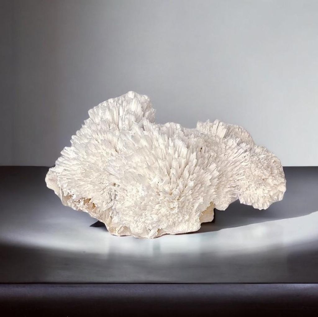 LINE_ALBUM_官網商品相簿八月第二周_230808_42