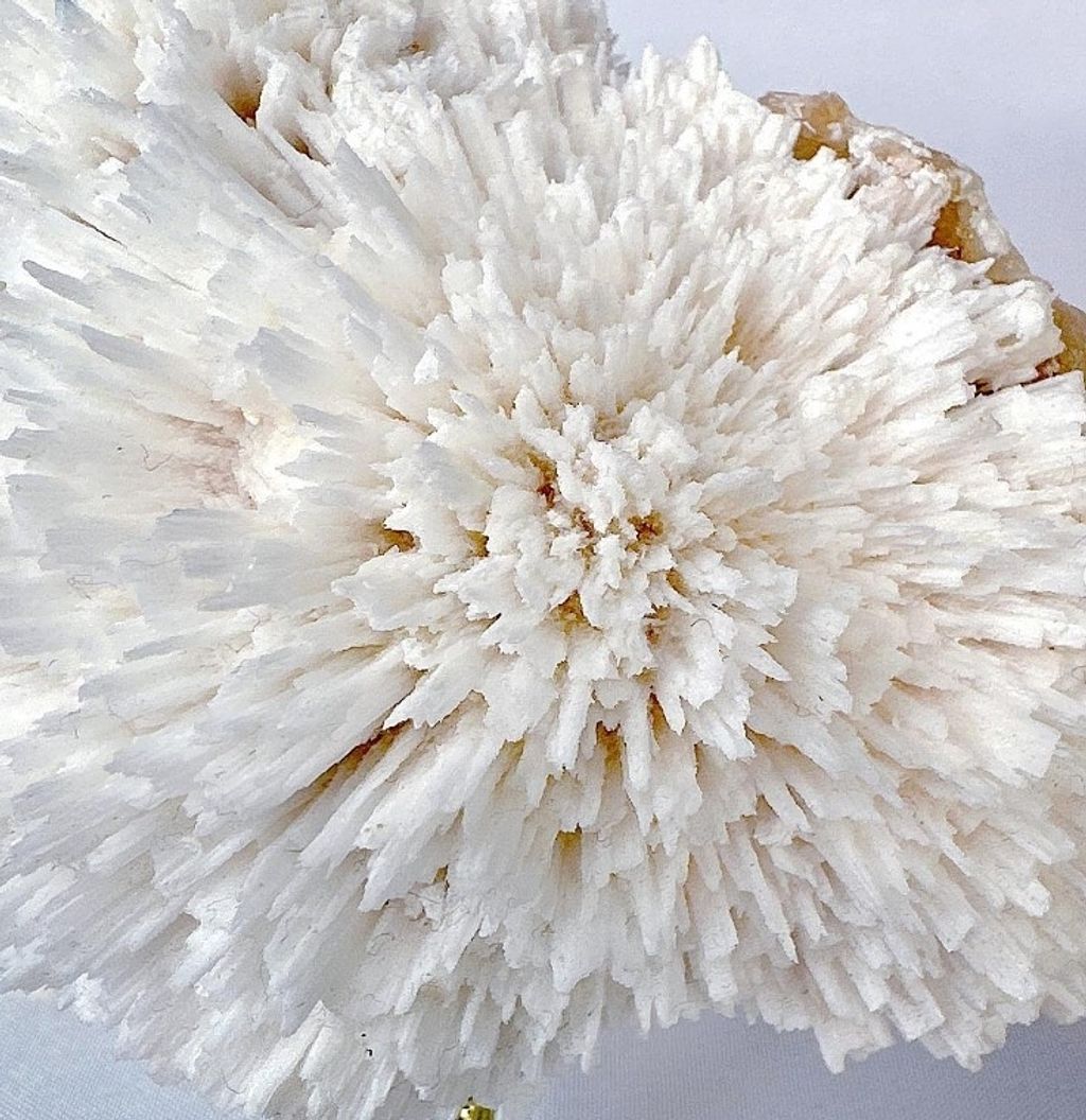 LINE_ALBUM_官網商品相簿八月第二周_230808_38