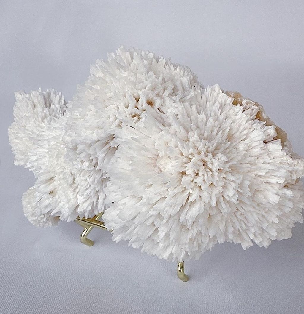 LINE_ALBUM_官網商品相簿八月第二周_230808_40