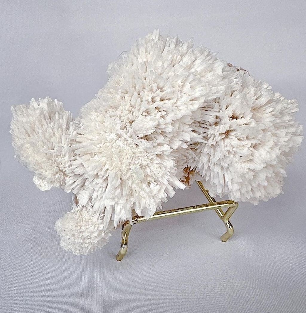 LINE_ALBUM_官網商品相簿八月第二周_230808_39