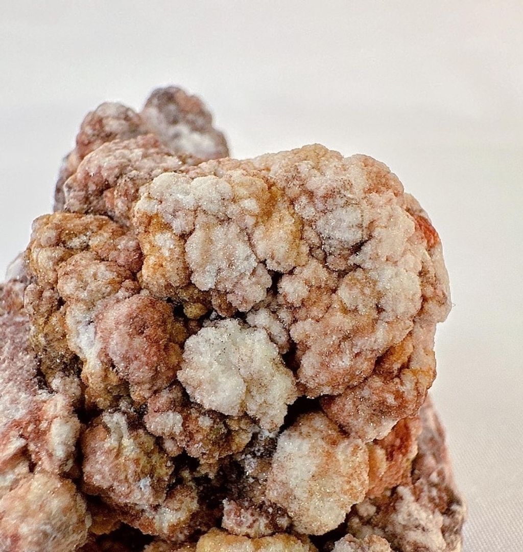 LINE_ALBUM_官網商品相簿八月第二周_230810_91