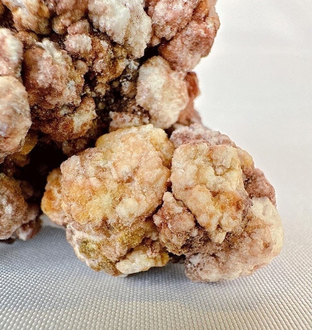 LINE_ALBUM_官網商品相簿八月第二周_230810_92