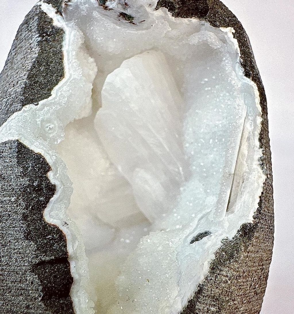 LINE_ALBUM_官網商品相簿八月第二周_230811_156