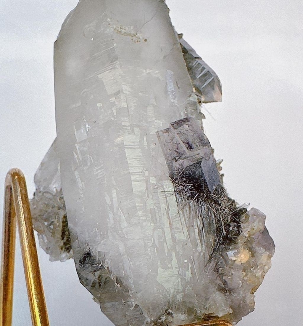 LINE_ALBUM_官網商品相簿八月第二周_230811_126