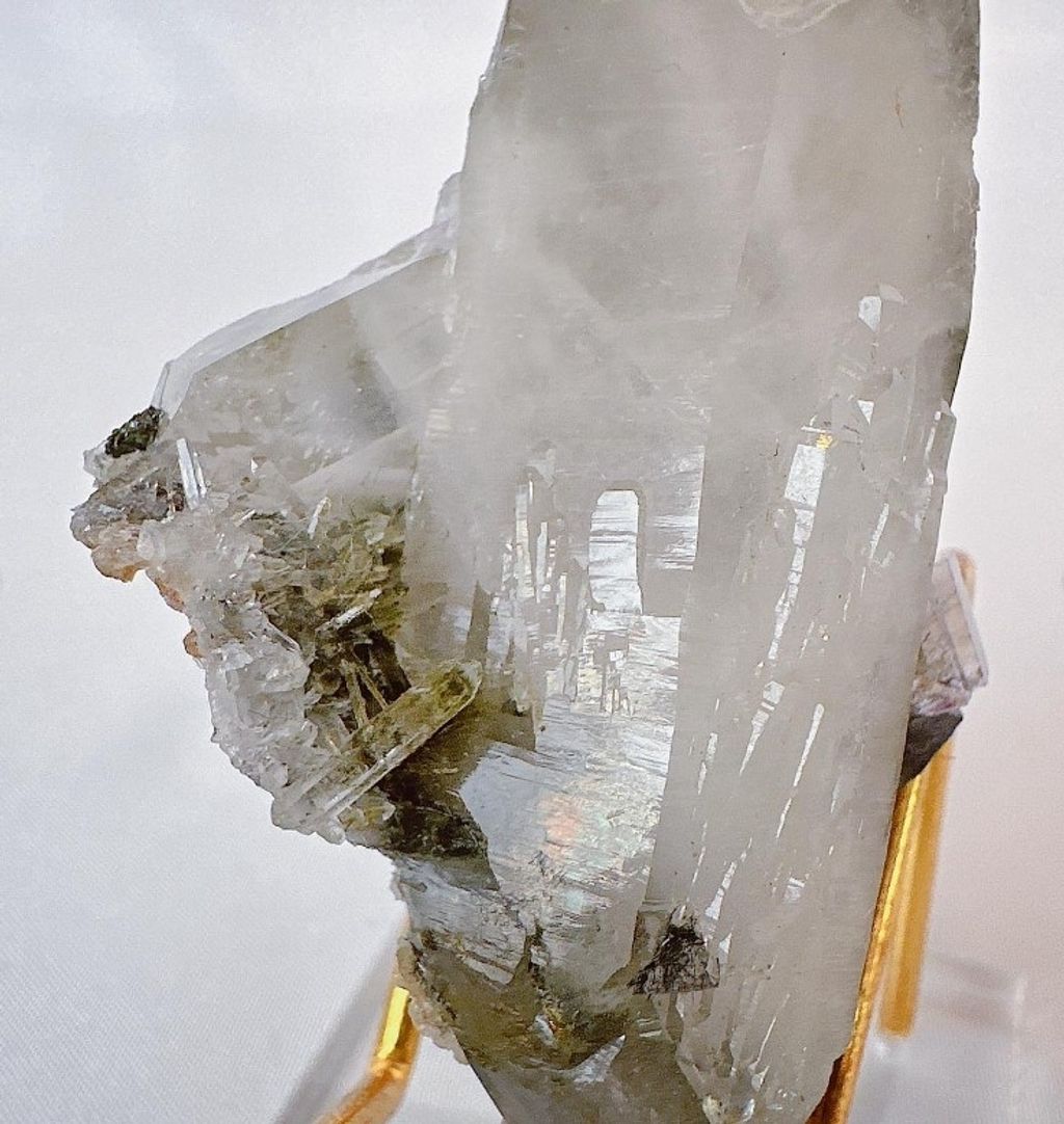 LINE_ALBUM_官網商品相簿八月第二周_230811_127