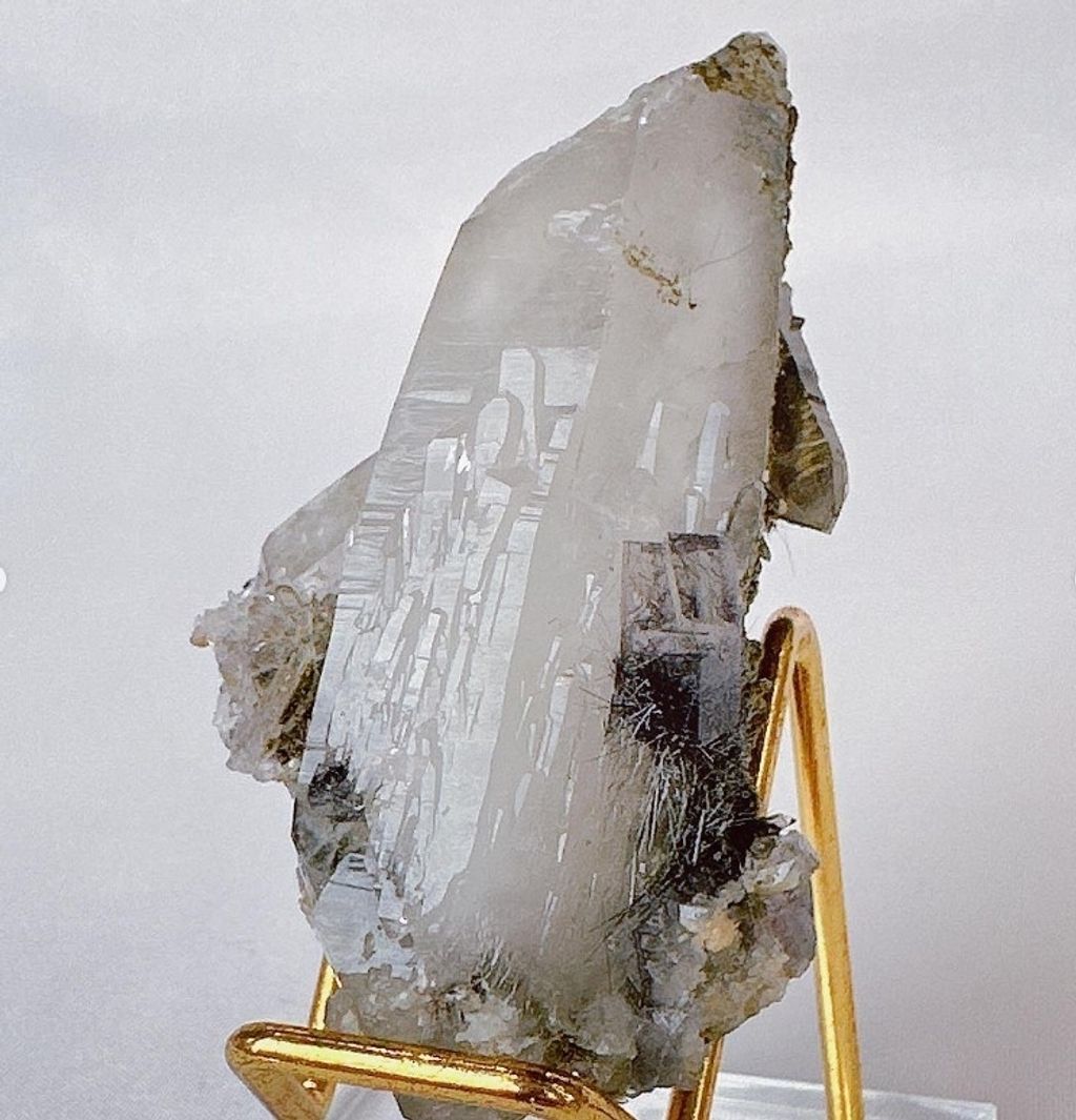 LINE_ALBUM_官網商品相簿八月第二周_230811_129