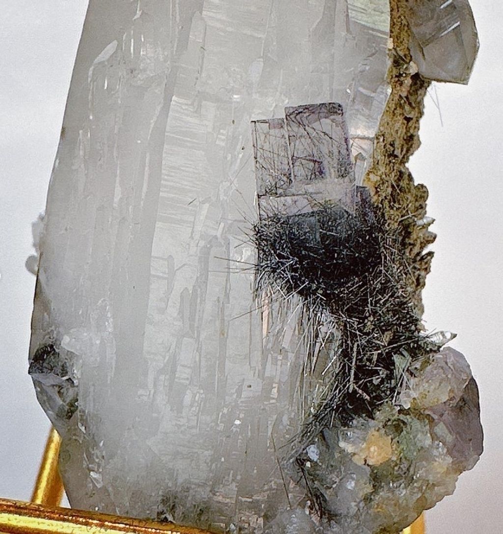 LINE_ALBUM_官網商品相簿八月第二周_230811_128