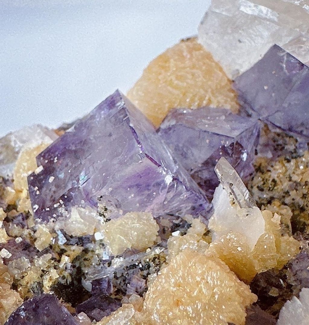 LINE_ALBUM_官網商品相簿八月第二周_230811_140