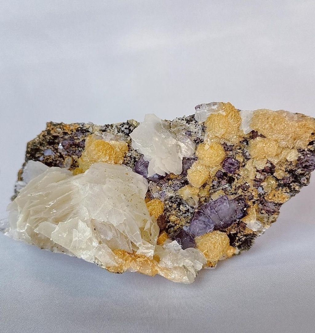 LINE_ALBUM_官網商品相簿八月第二周_230811_142