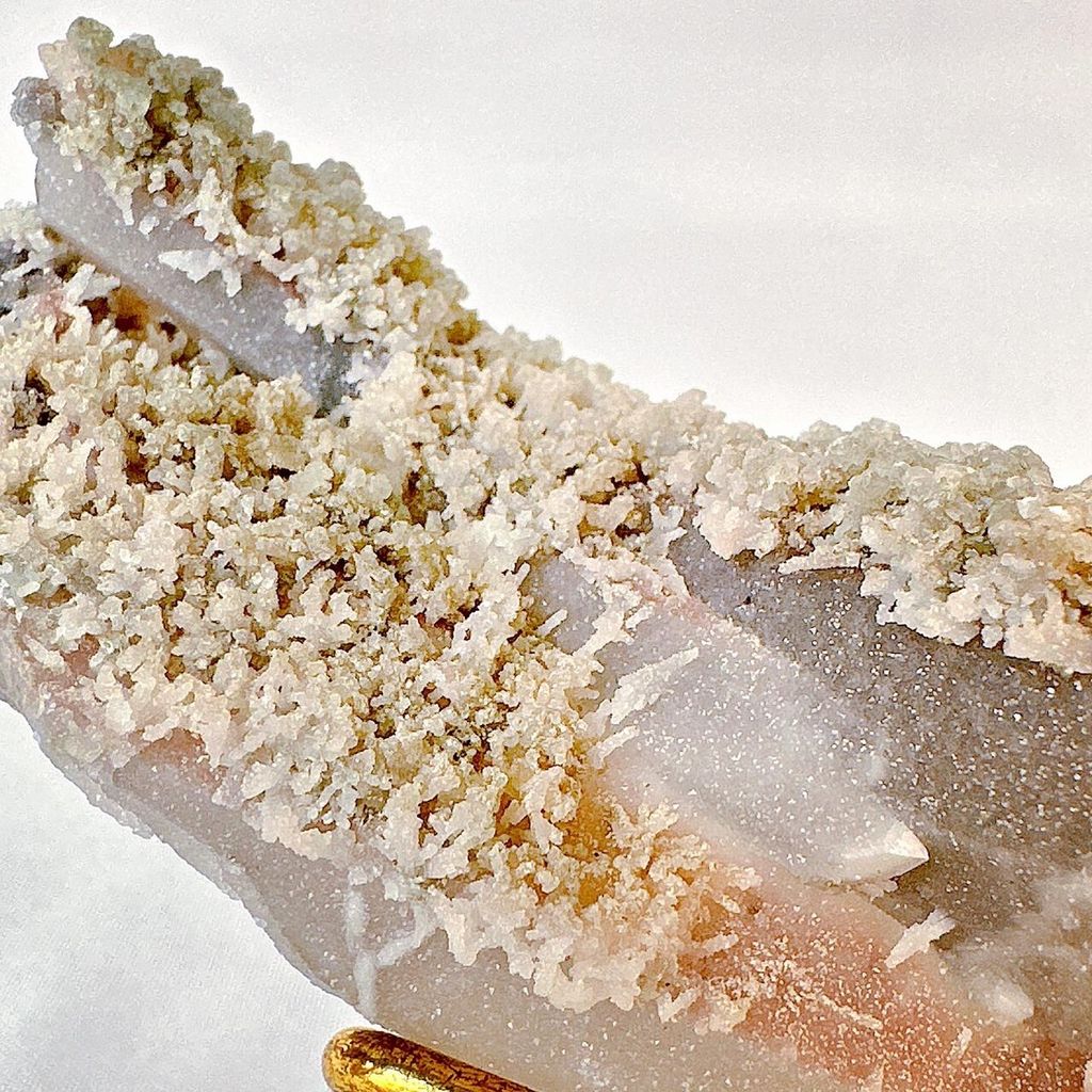 LINE_ALBUM_51630_230815_1