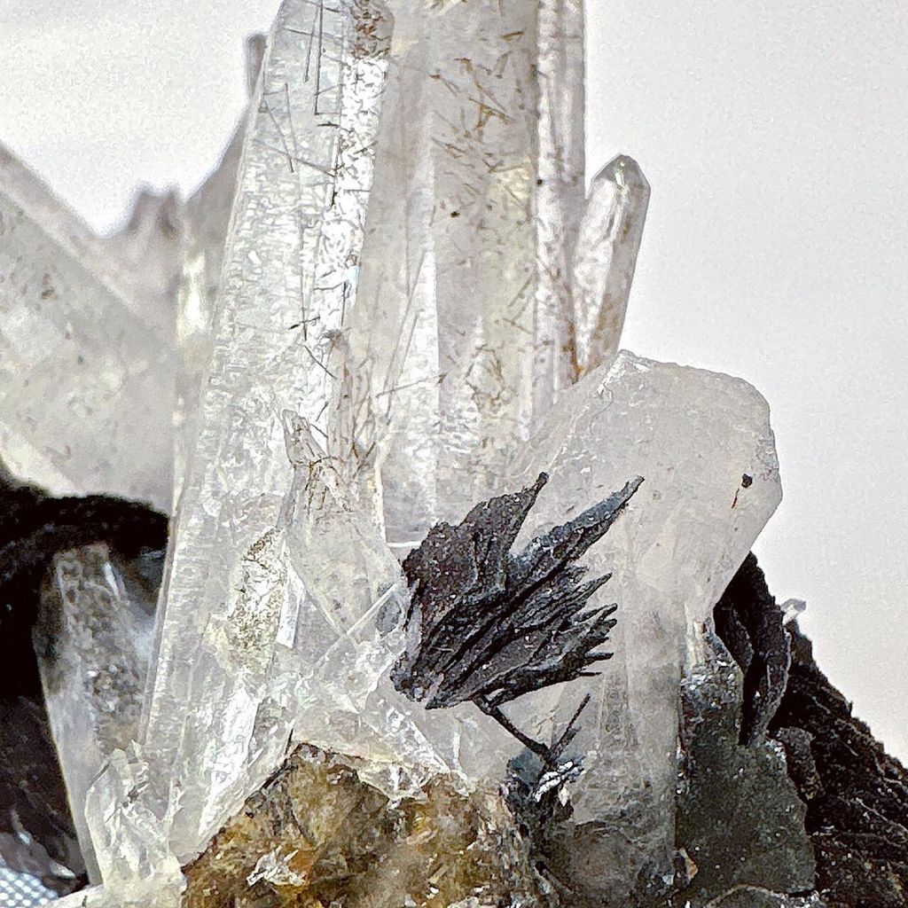 LINE_ALBUM_51632_230816_38