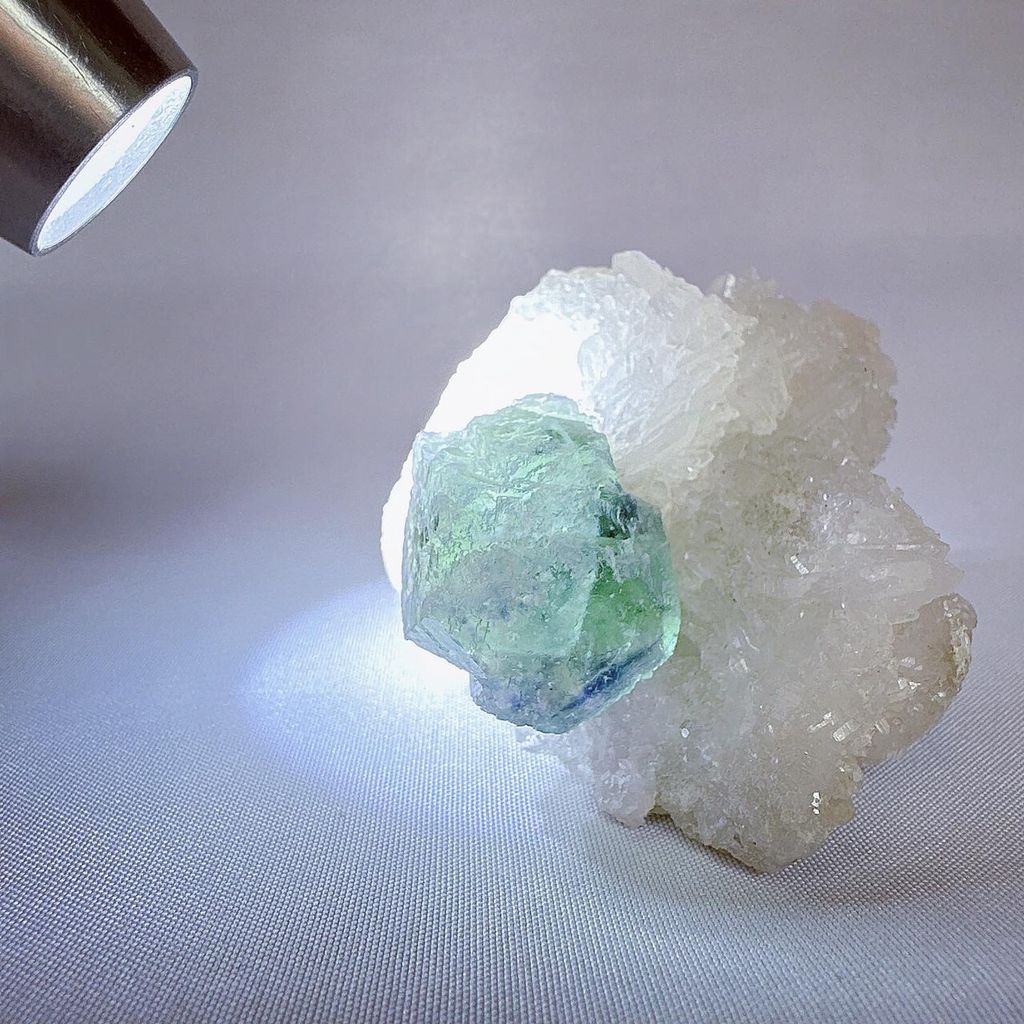 LINE_ALBUM_51642_230821_8