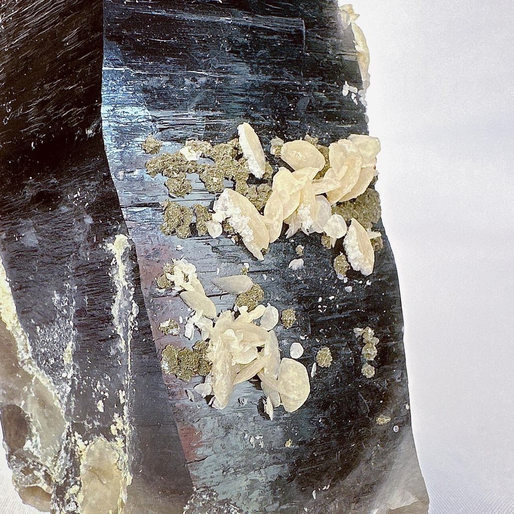 LINE_ALBUM_51648_230823_19