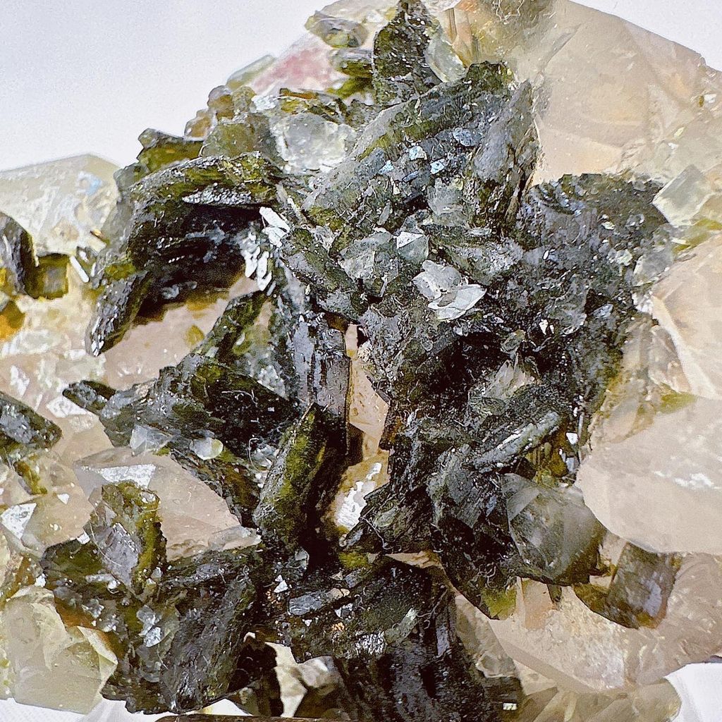 LINE_ALBUM_51822_230911_5