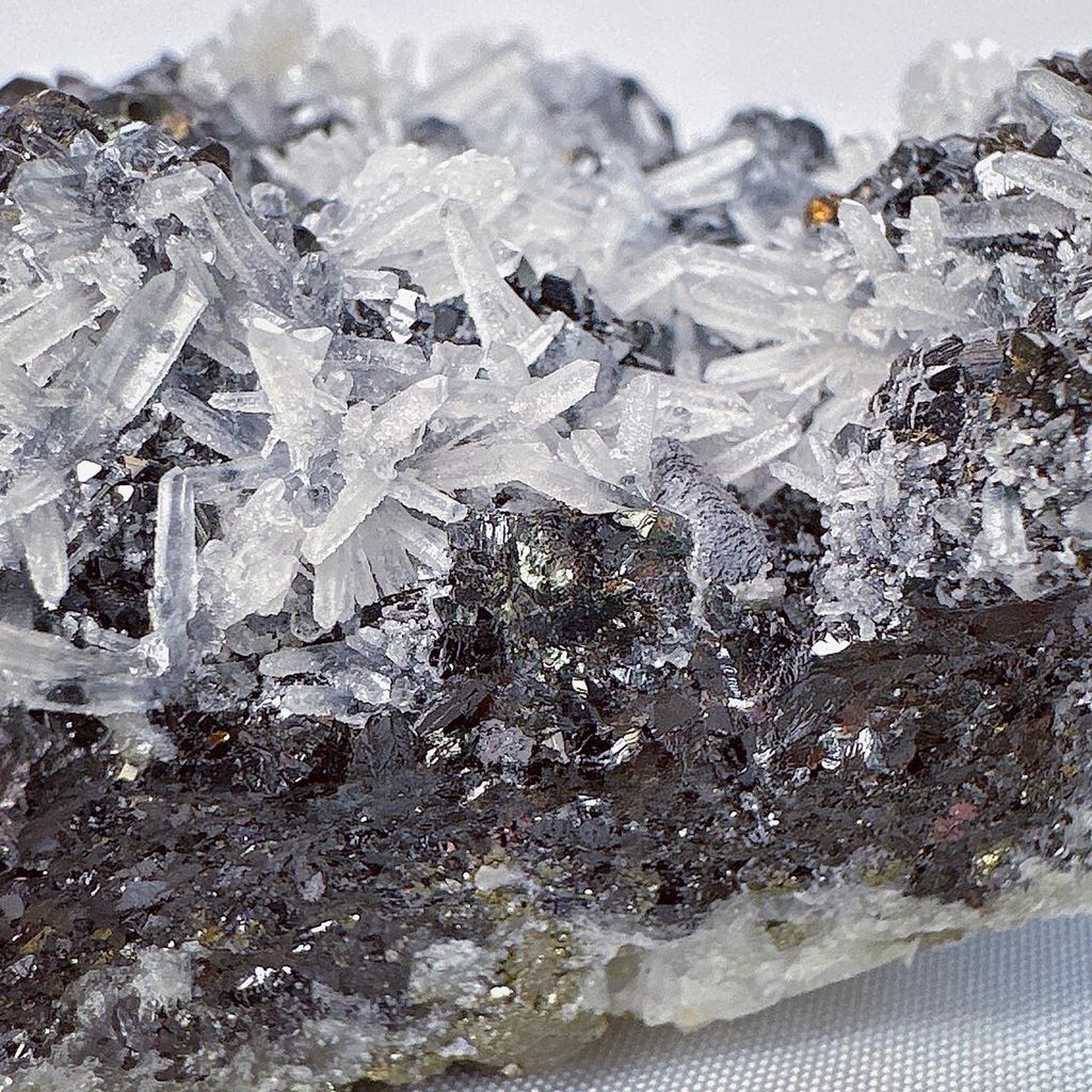 LINE_ALBUM_51832_230915_41