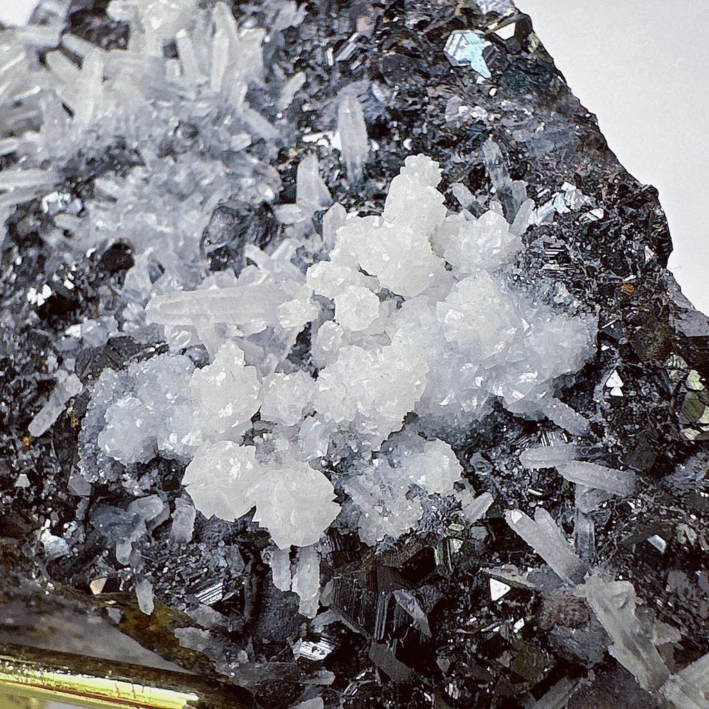 LINE_ALBUM_51832_230915_44