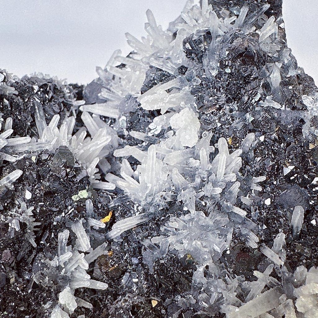 LINE_ALBUM_51832_230915_43