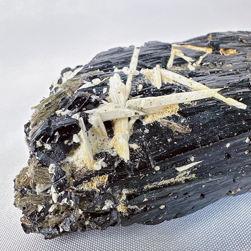 LINE_ALBUM_51840_230920_14