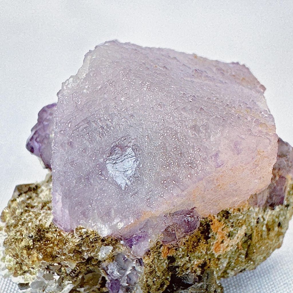 LINE_ALBUM_2023925_230925_11