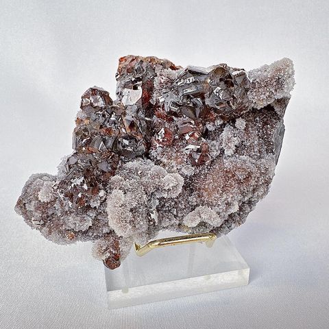 LINE_ALBUM_2023927_230927_5