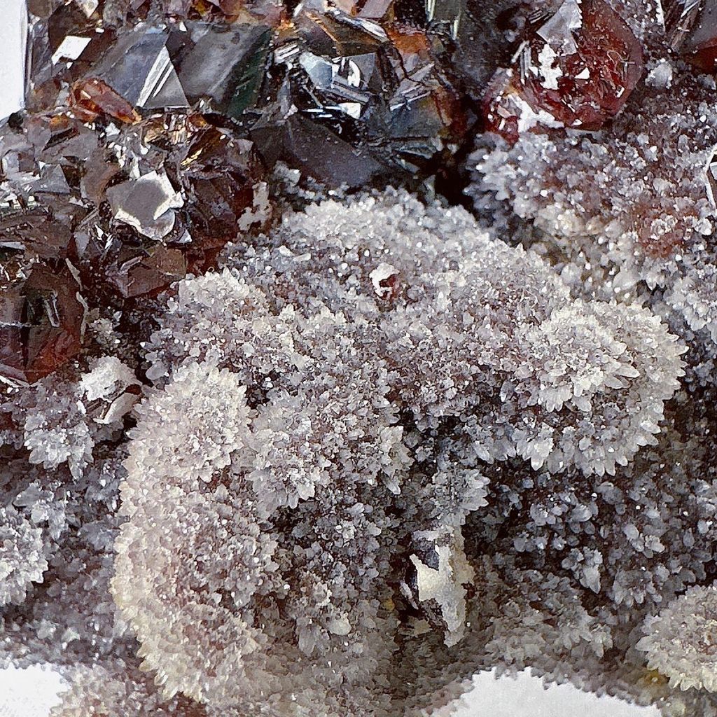 LINE_ALBUM_2023927_230927_1