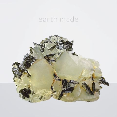 LINE_ALBUM_52010_231004_21