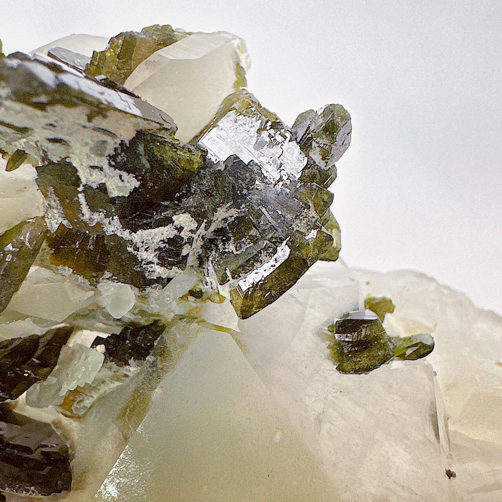 LINE_ALBUM_52010_231004_17