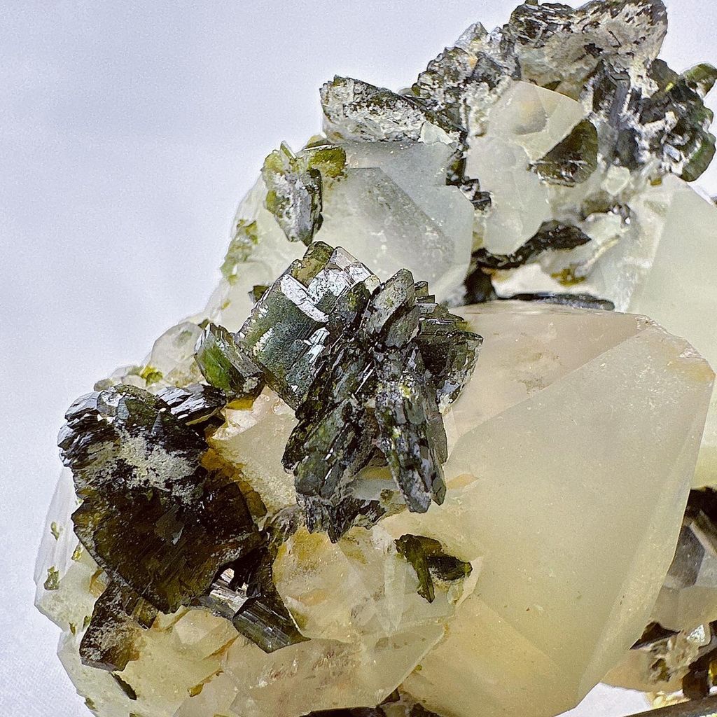 LINE_ALBUM_52010_231004_16