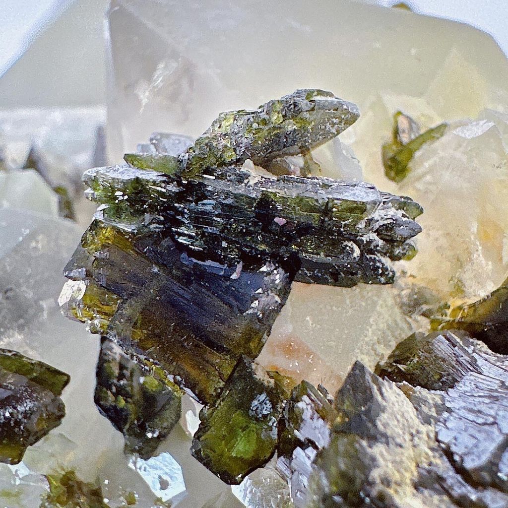 LINE_ALBUM_52010_231004_18