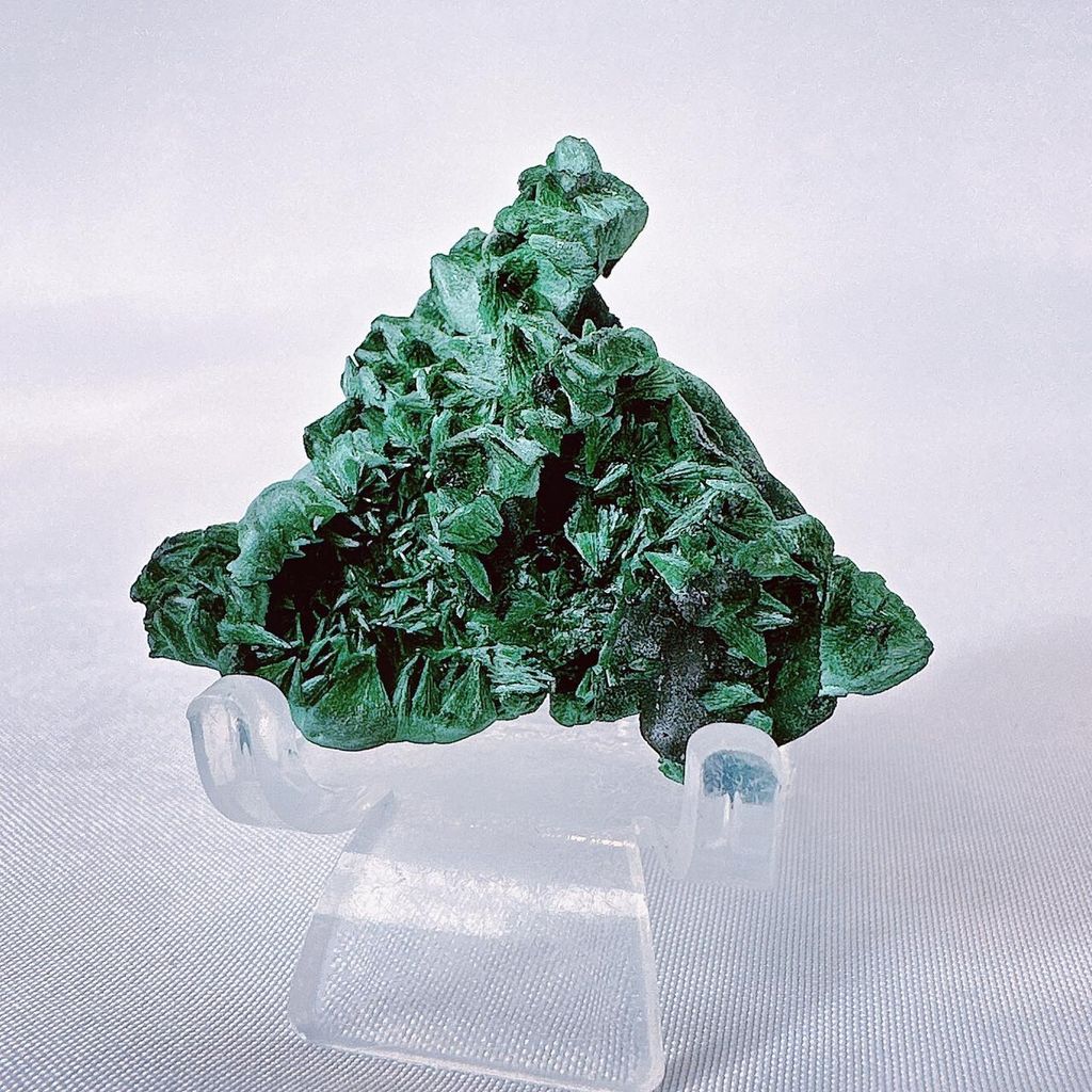 LINE_ALBUM_52014_231006_12