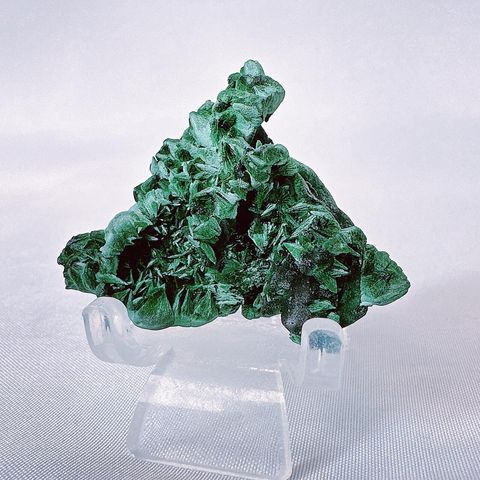 LINE_ALBUM_52014_231006_12