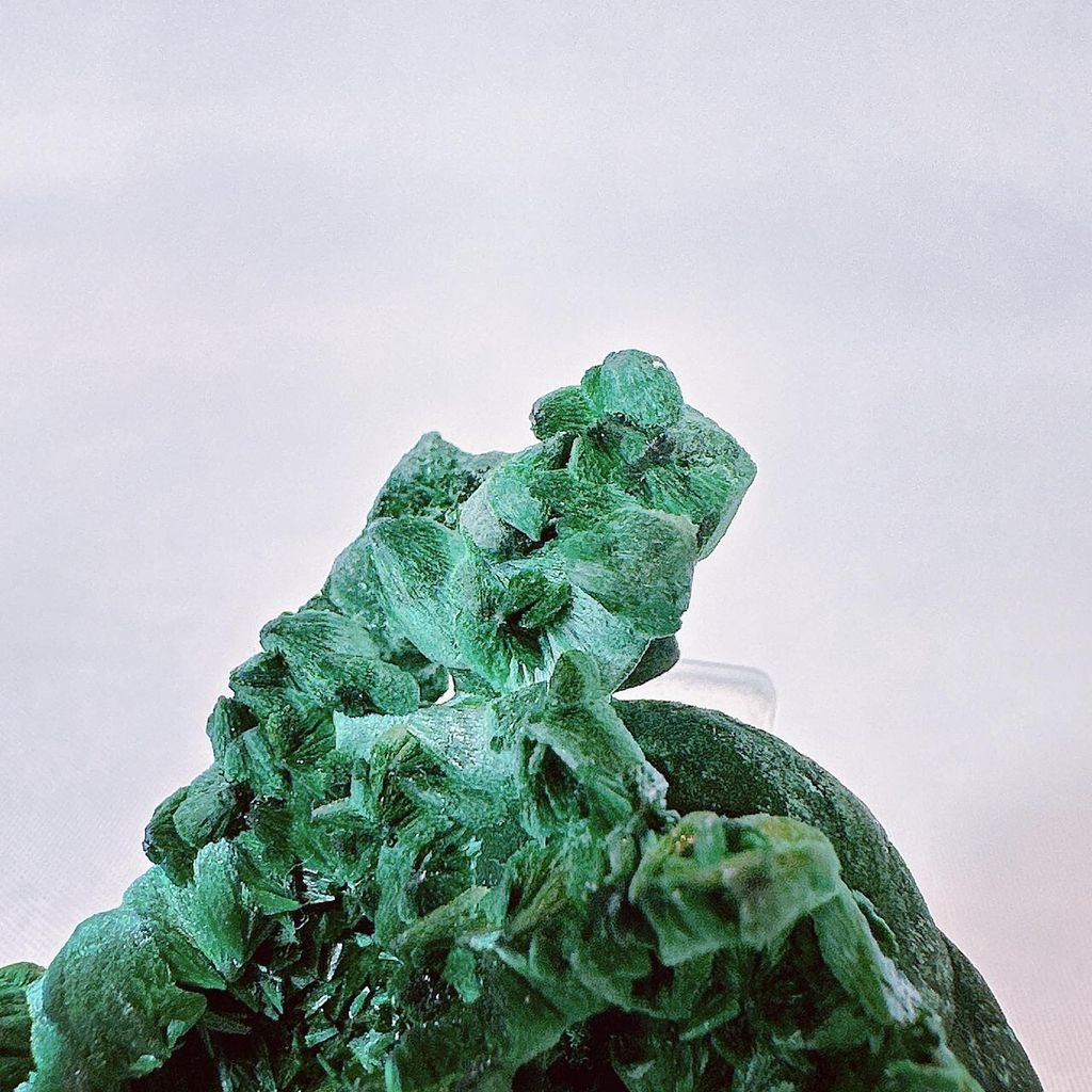 LINE_ALBUM_52014_231006_10