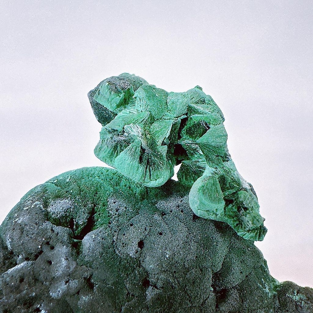 LINE_ALBUM_52014_231006_11