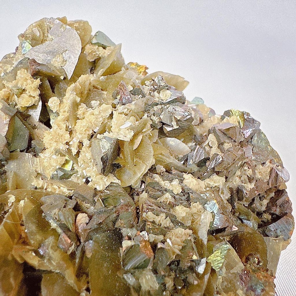 LINE_ALBUM_52014_231006_19