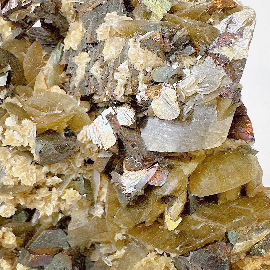 LINE_ALBUM_52014_231006_20