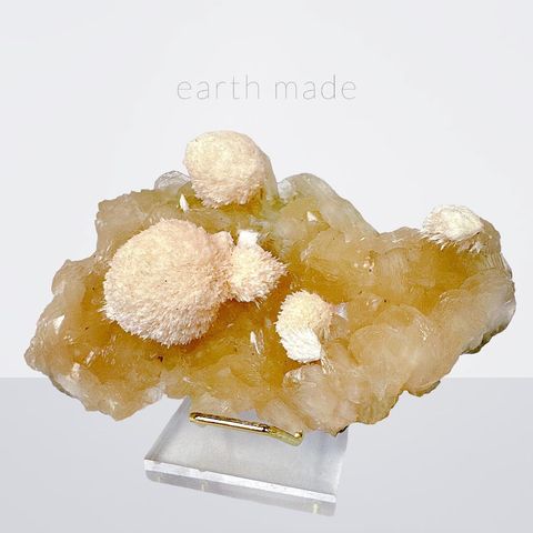 LINE_ALBUM_52022_231011_14