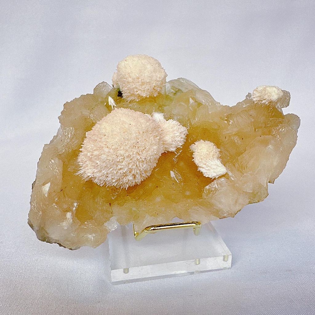 LINE_ALBUM_52022_231011_13