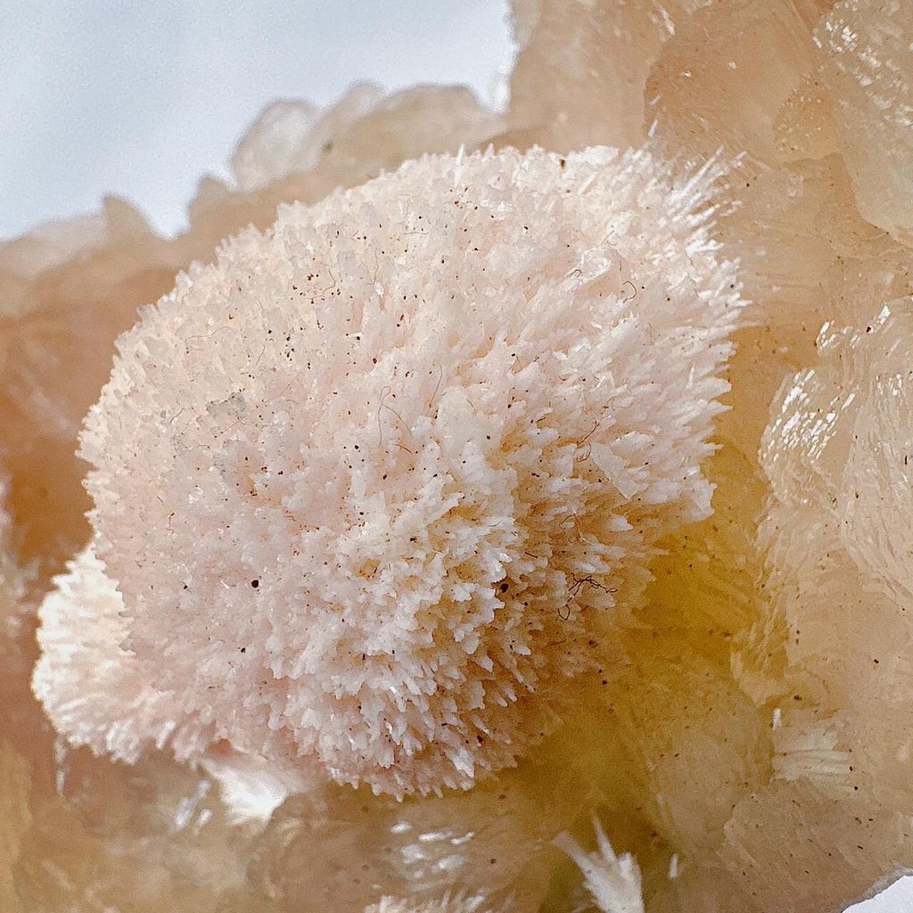 LINE_ALBUM_52022_231011_11