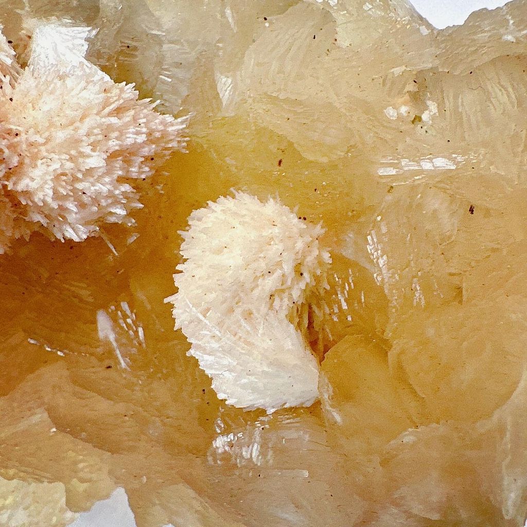 LINE_ALBUM_52022_231011_10