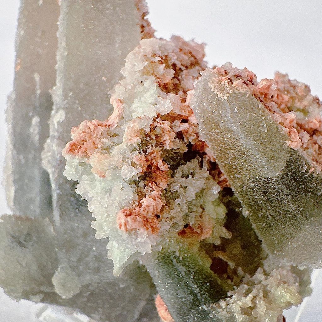 LINE_ALBUM_52036_231018_11